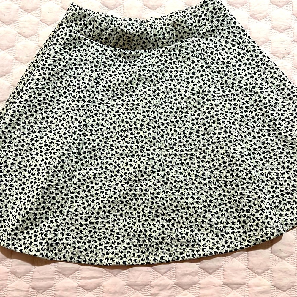 Zara skirt